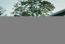 boost online presence now