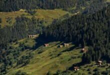 mobile call frequency distribution