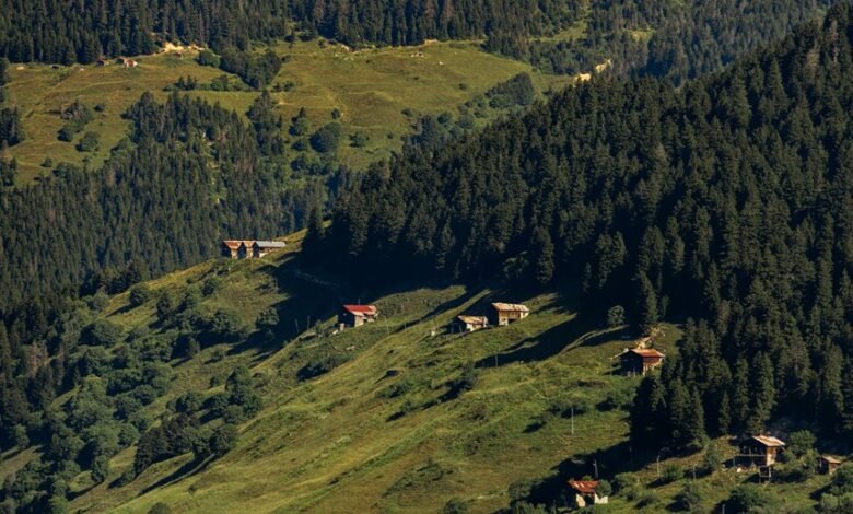 mobile call frequency distribution