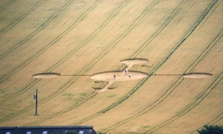 regional call pattern analysis