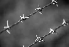 voice security contact numbers