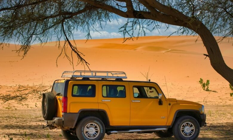 reliable model expansion online