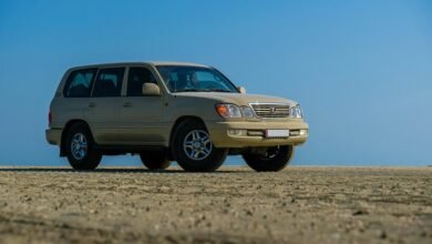 reliable web platform stability