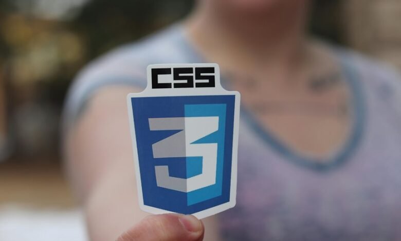 secure web framework development