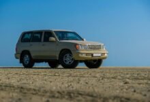 stable digital model 220942159