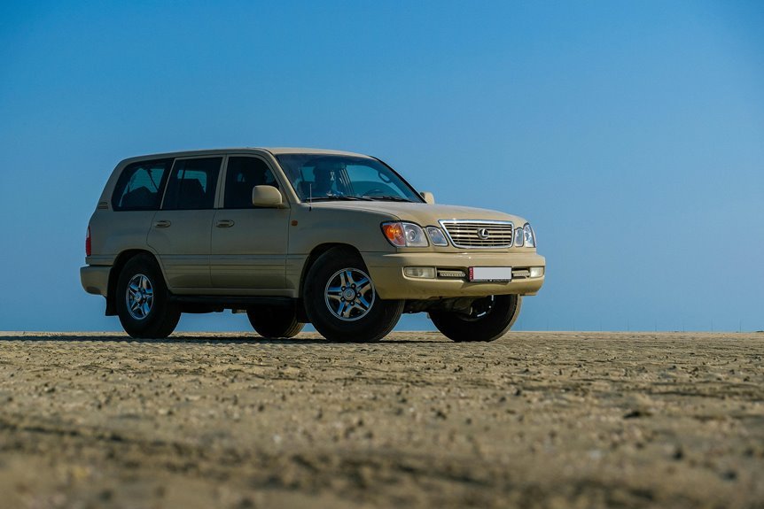 stable digital model 220942159