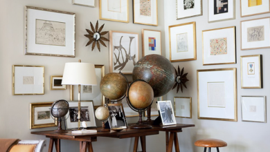 Insoldout: A Unique Destination of Quirky Lifestyle Finds and Niche Collectibles.